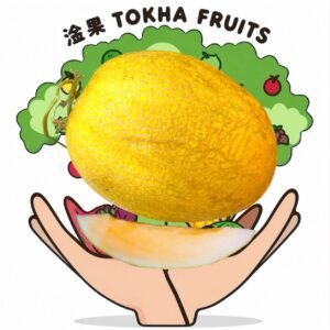 MELON - CN ROCK MELON 八六王哈密瓜