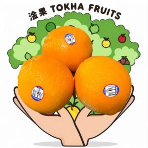ORANGE - AUSTRALIA SUNKIST NAVEL ORANGE 4012 L