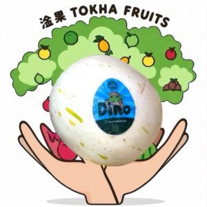 MELON - BRAZIL DINO MELON