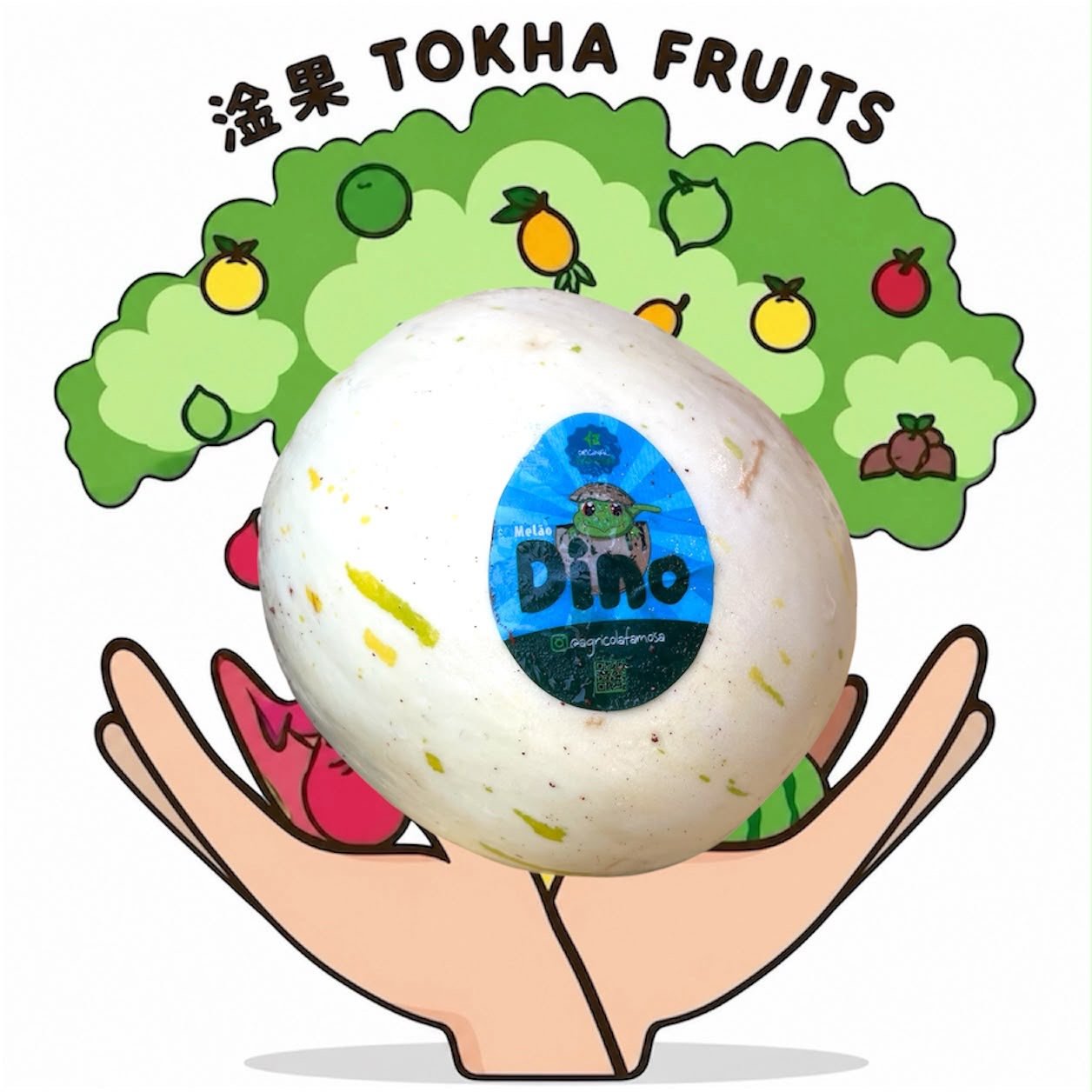 MELON - BRAZIL DINO MELON