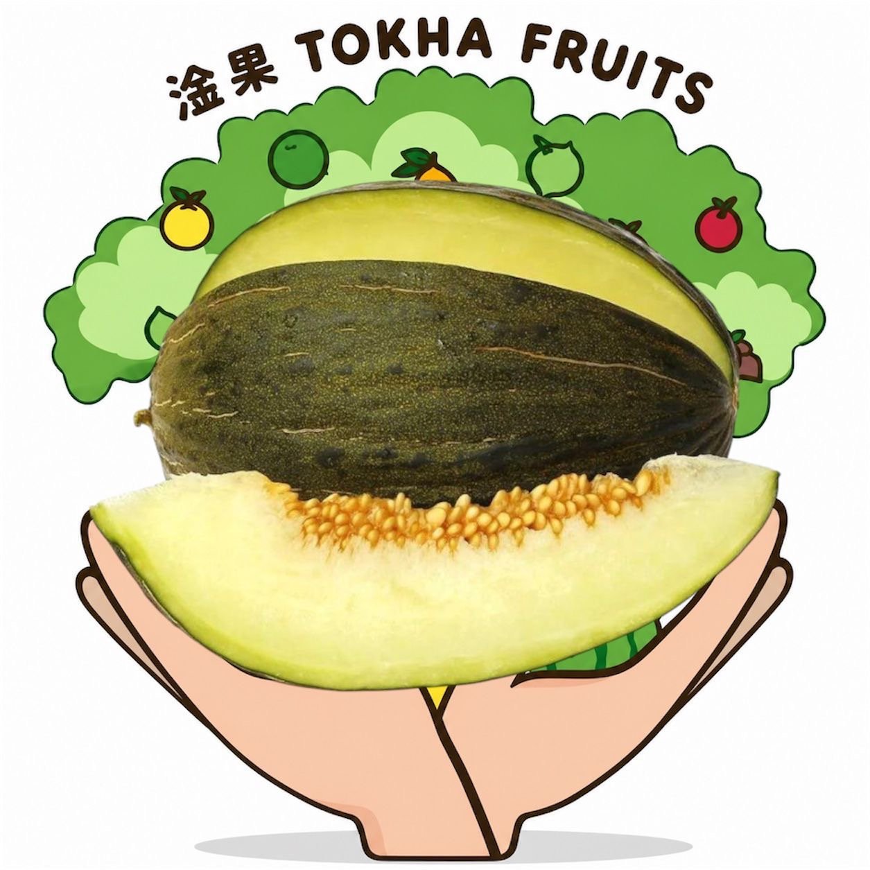 MELON - AUSTRALIA SAPO MELON
