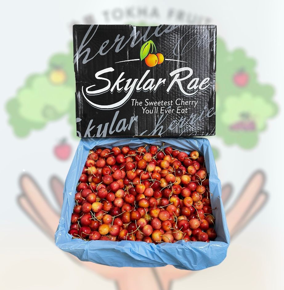 USA SKYLAR RAE RAINIER CHERRY 9R