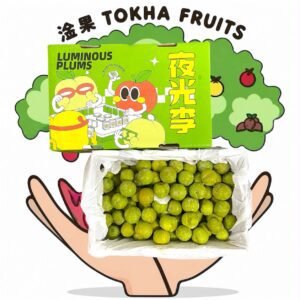 PLUM - CN LUMINOUS GREEN PLUM （SWEET & CRUNCHY）