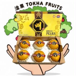 PEAR - KOREA PREMIUM SINGO PEAR XL