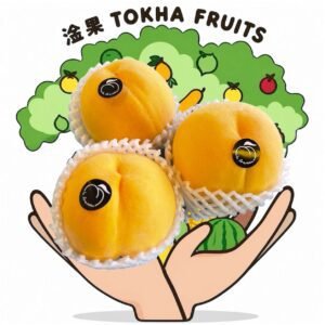 PEACH - SPAIN MOMO YELLOW PEACH
