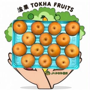 PEAR - JAPAN NAN SHUI PEAR 日本太鼓判南水梨