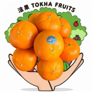 MANDARIN - CN HONEY MANDARIN