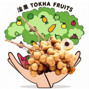 LONGAN - THAI ORGANIC LONGAN