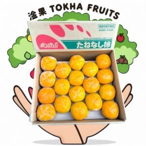 PERSIMMON - JAPAN WAKAYAMA SEEDLESS PERSIMMON 日本和歌山无籽柿